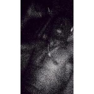 Meet your Posher, Salamon